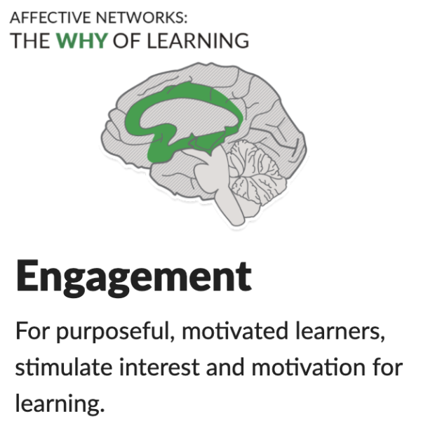 engagement: For purposeful, motivated learners, stimulate interest and motivation for learning.